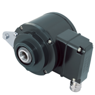 Baumer HOGS 100