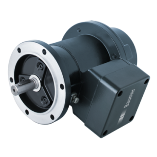 Baumer TG 74 d